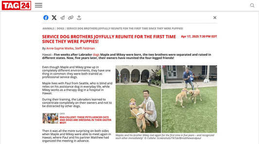SERVICE DOG BROTHERS JOYFULLY REUNITE FOR THE FIRST TIME SINCE THEY WERE PUPPIES! - Paul Castle Studio