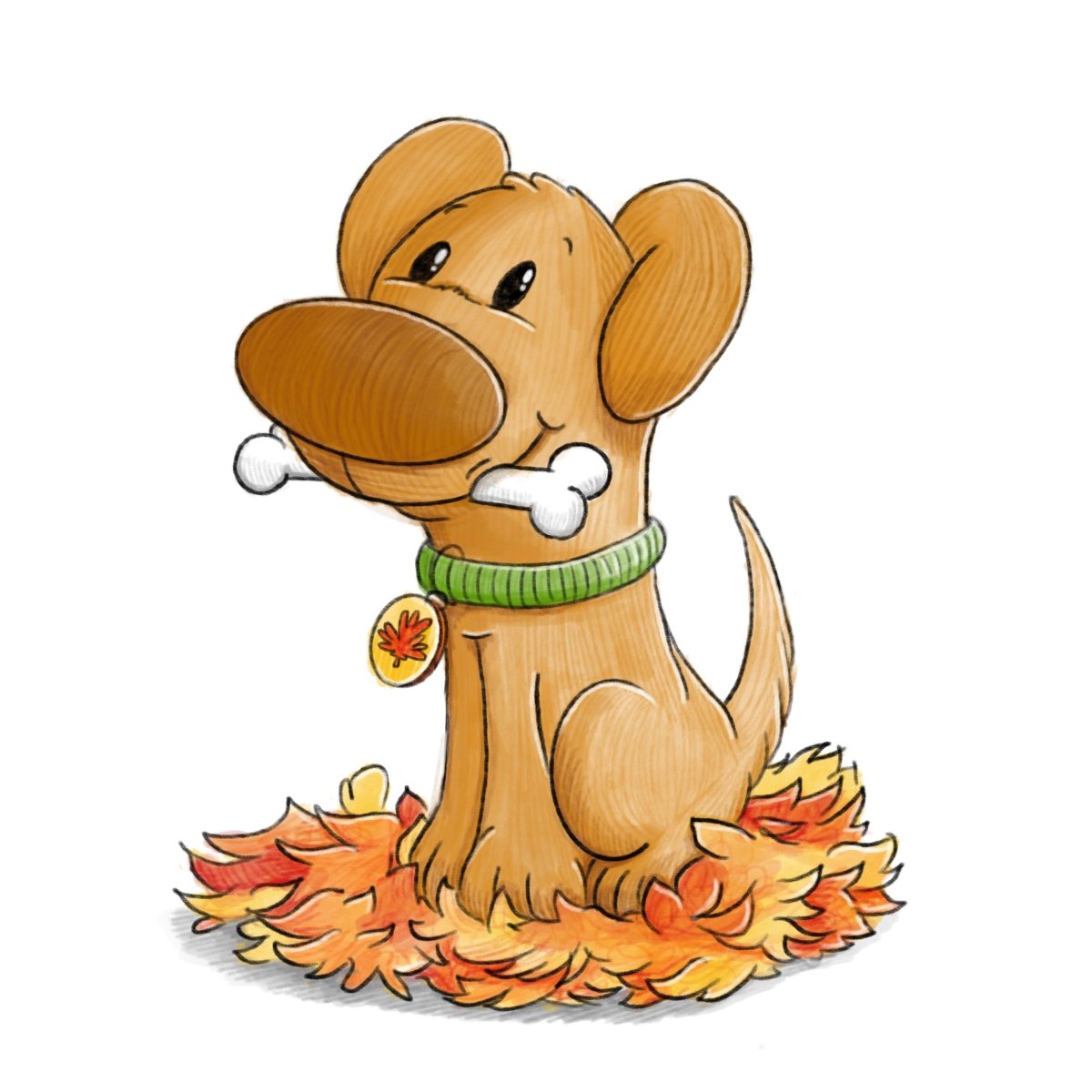 Mr Maple Paul Castle Studio