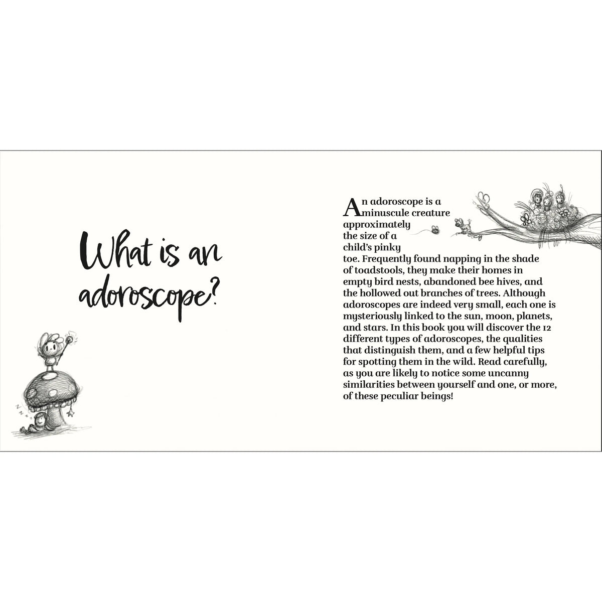 Adoroscopes: An illustrated guide to the 12 adorable signs of the zodiac - Paul Castle Studio