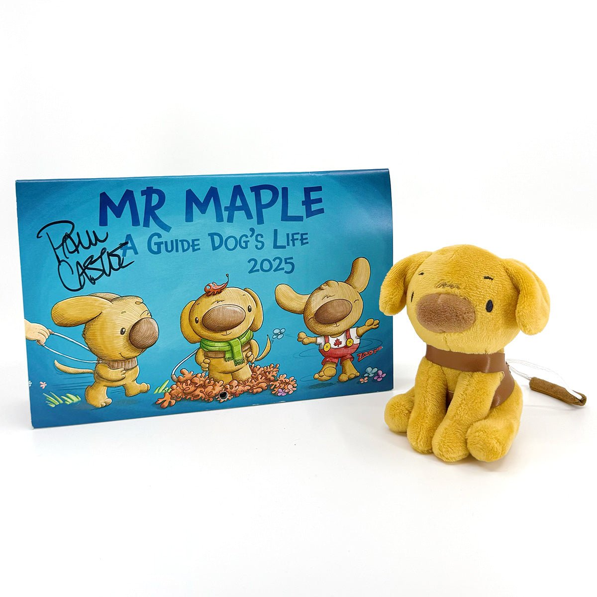 Mr Maple Bundle Paul Castle Studio