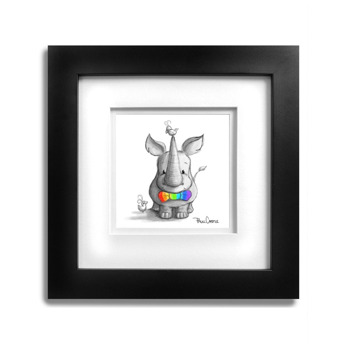 Rhinbow - Paul Castle Studio