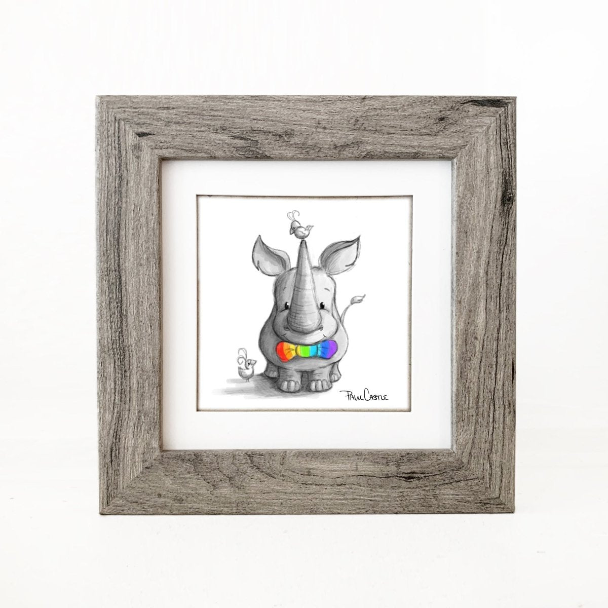 Rhinbow - Paul Castle Studio