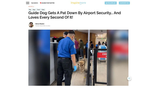 Guide Dog Gets A Pat Down By Airport Security… And Loves Every Second Of It! - Paul Castle Studio