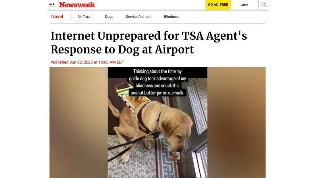 Internet Unprepared for TSA Agent's Response to Dog at Airport - Paul Castle Studio