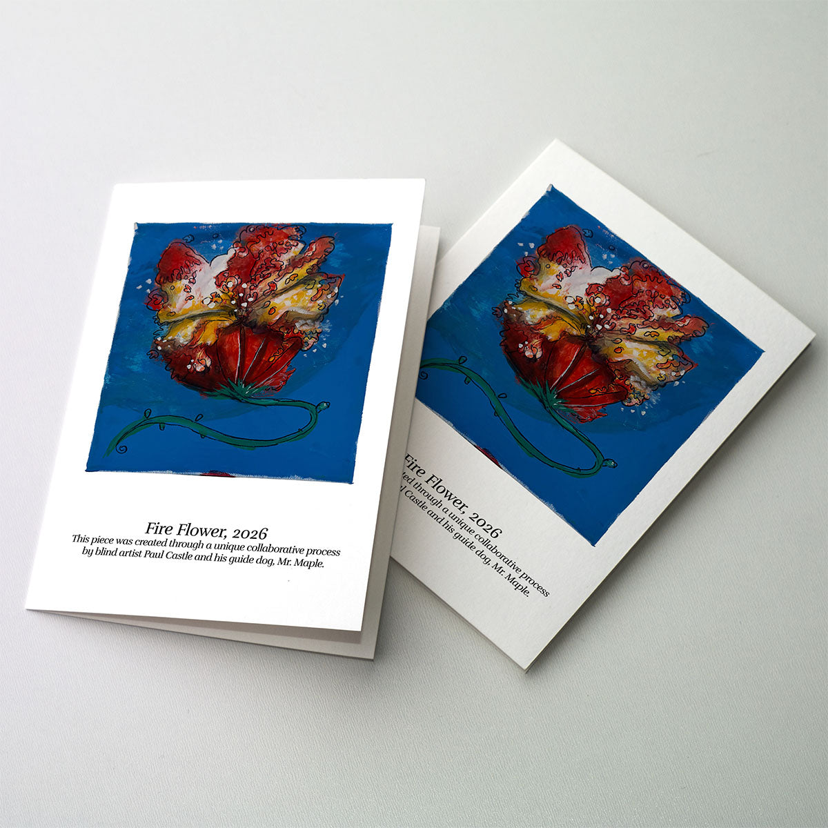 Mr Maple's Greeting Cards  - 6 card set