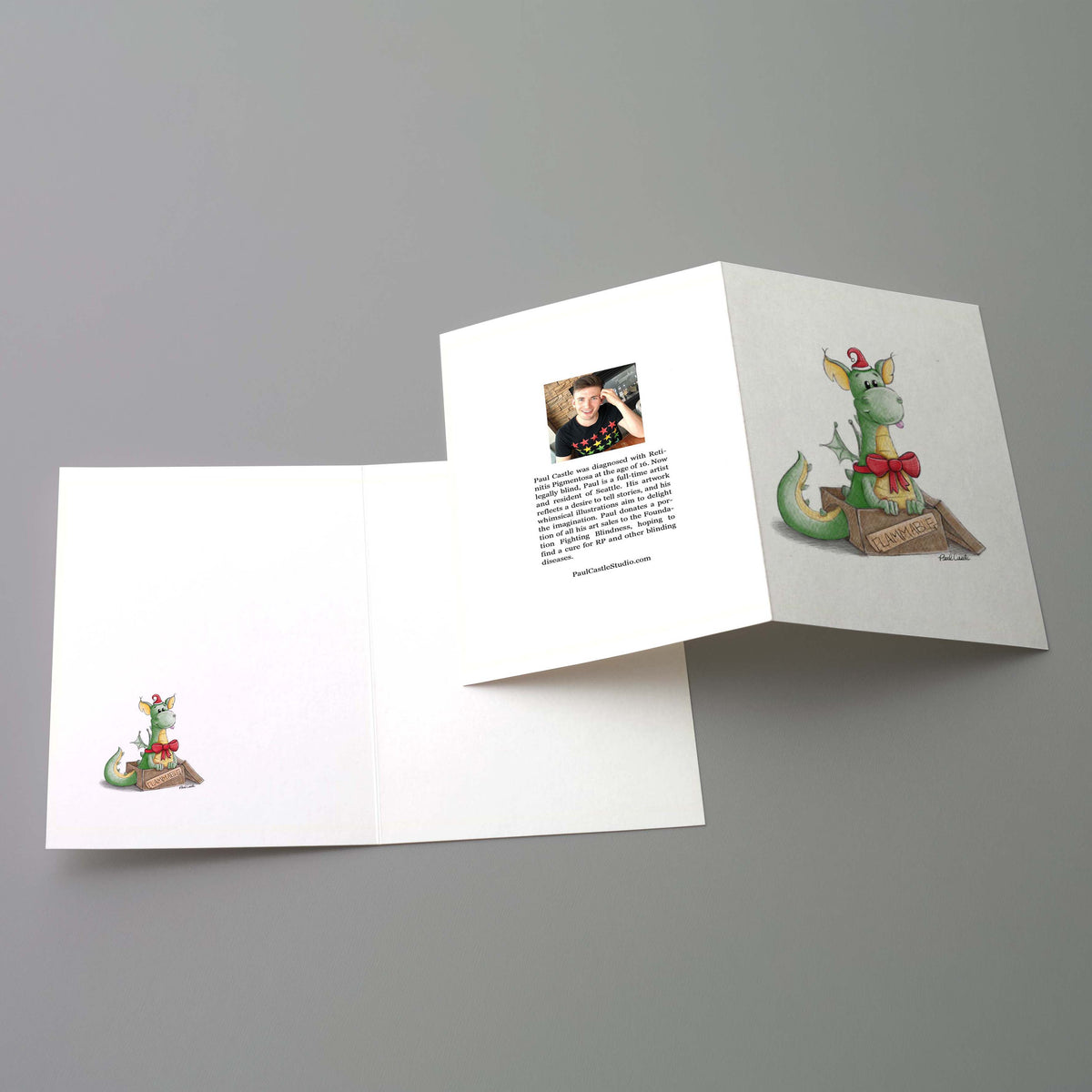 Holiday Greeting Cards - set of 12 - Paul Castle Studio