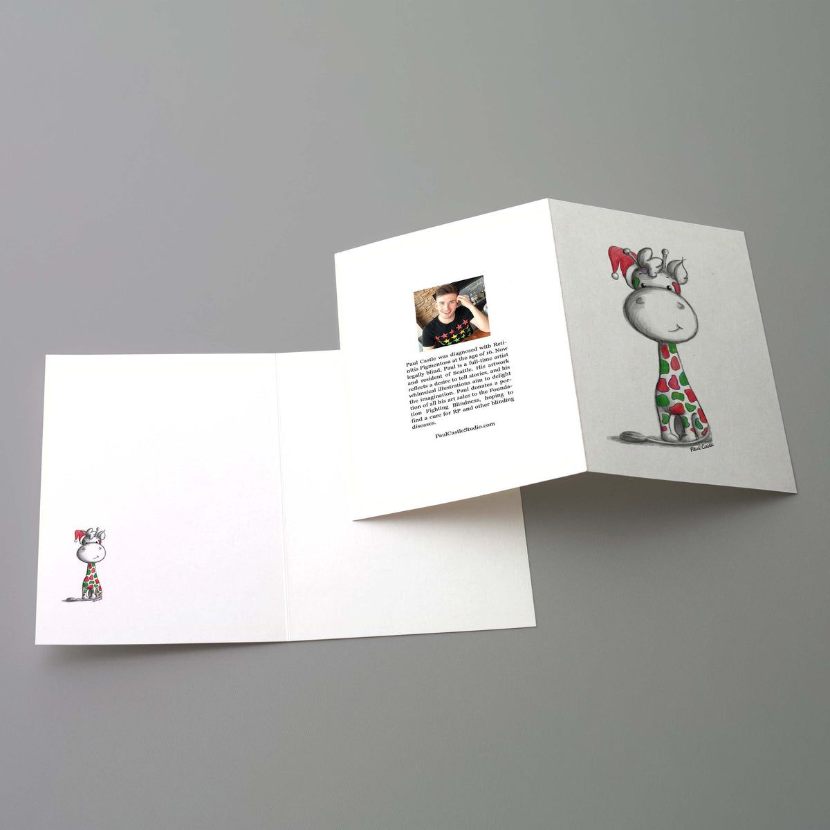 Holiday Greeting Cards - set of 12 - Paul Castle Studio